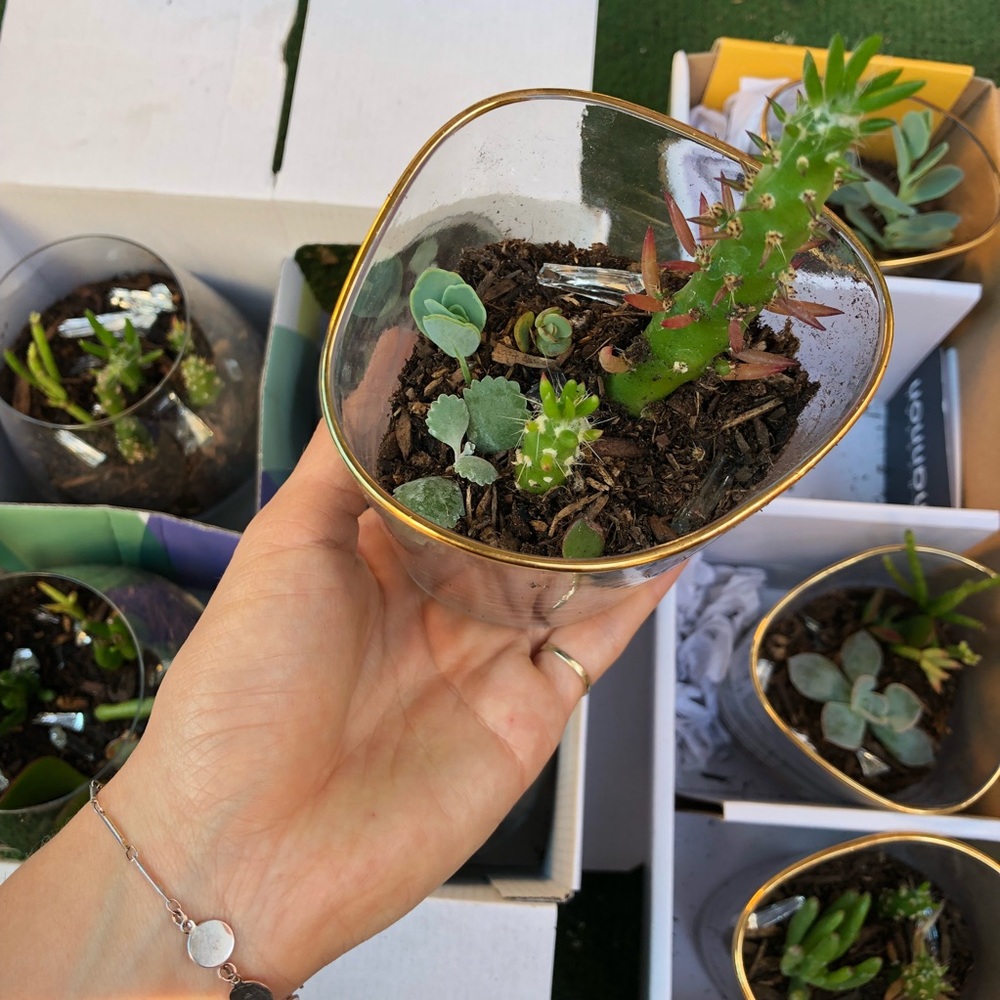 Meet your Posher, Ari